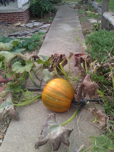 SidewalkPumpkin